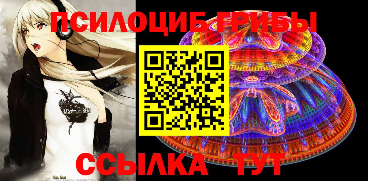 Заинск  Псилоцибиновые грибы ЛСД  Галлюциногенные грибы ЛСД  Вход с VPN 