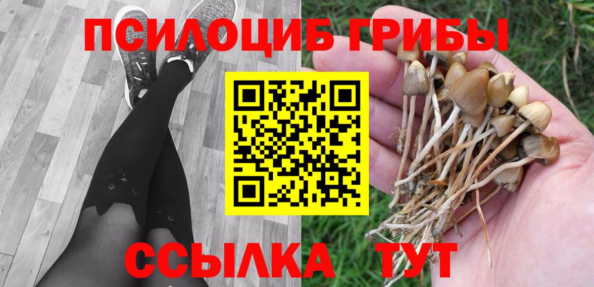 Псилоцибиновые грибы Cubensis Заинск